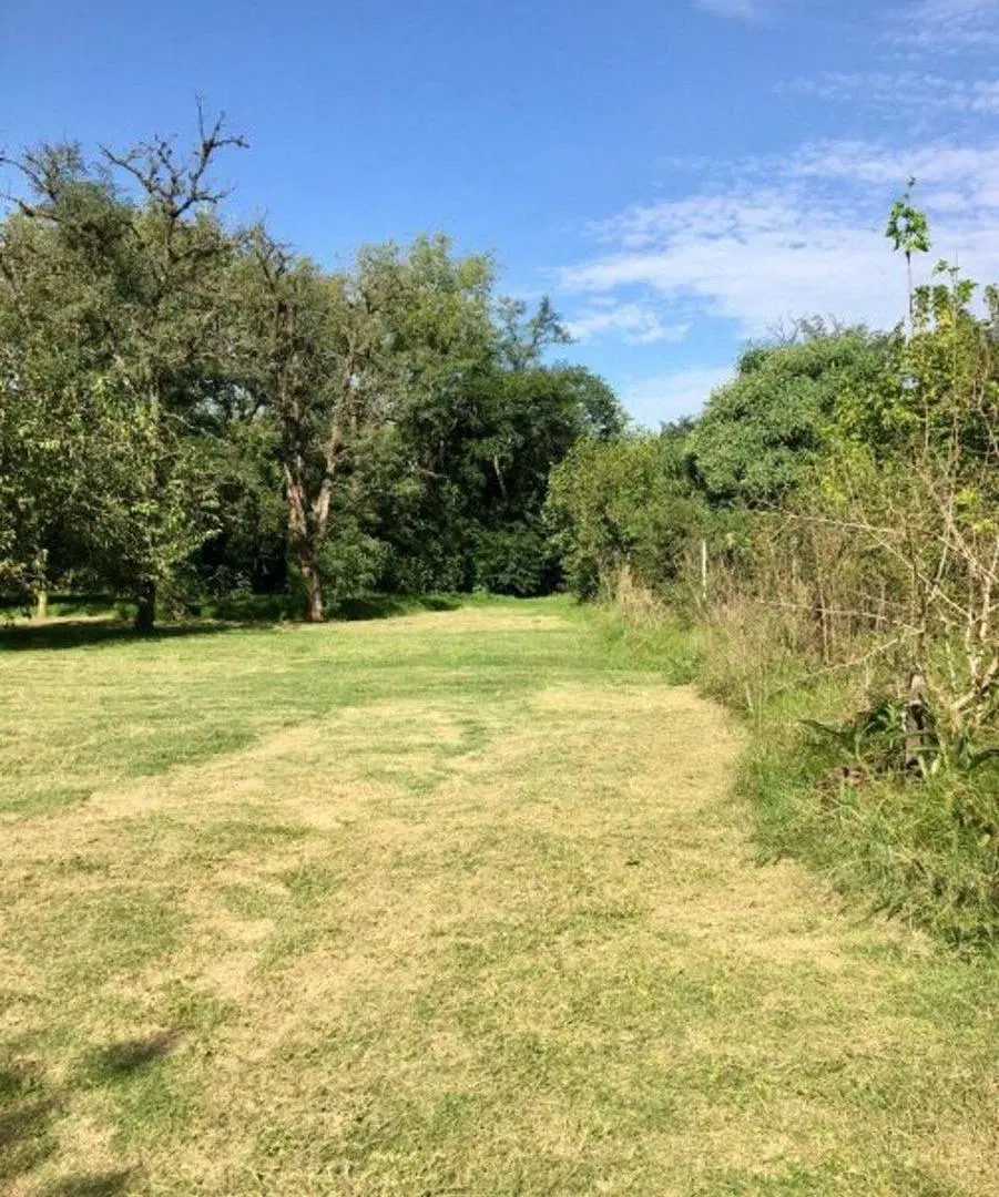 LOTE EN VENTA EN SAN VICENTE, UBIC. ESTRATEGICA! 3