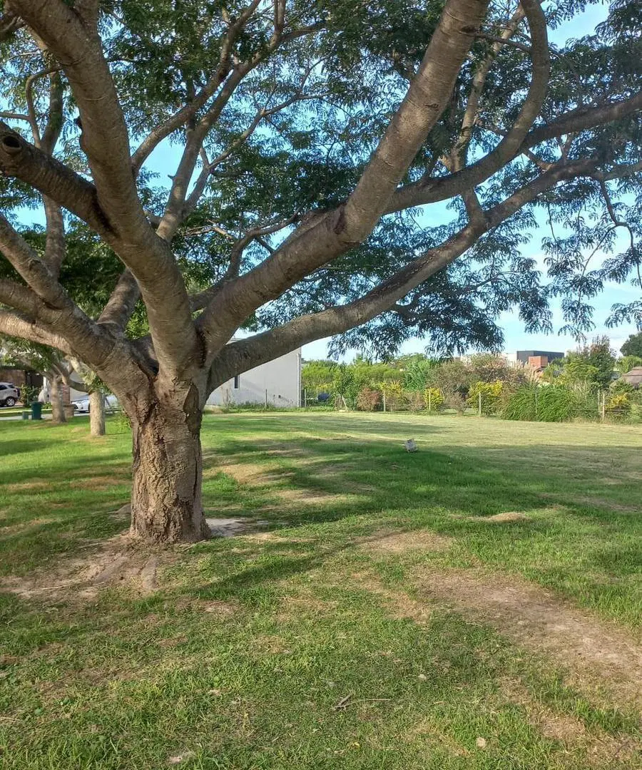 Terreno en  venta San Marco Villanueva 2