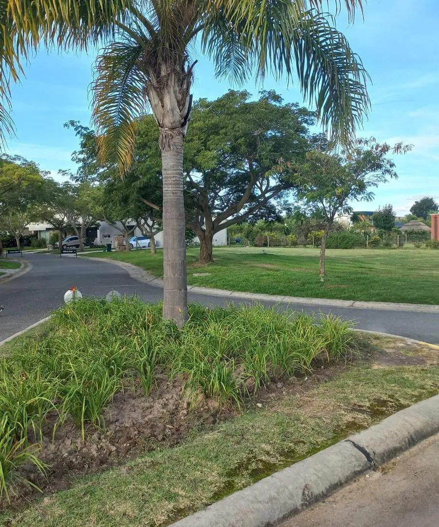 Terreno en  venta San Marco Villanueva 8