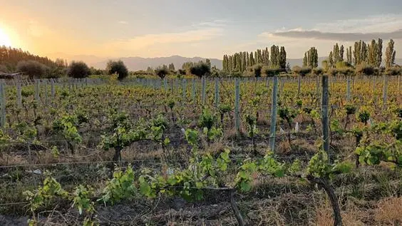 LOTE EN VENTA BARRIO PRIVADO TERRADA X en Lujan de Cuyo, Mendoza 1