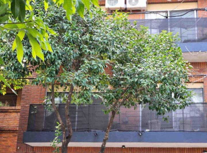 Venta PH 5 ambientes cochera Parque Avellaneda 4