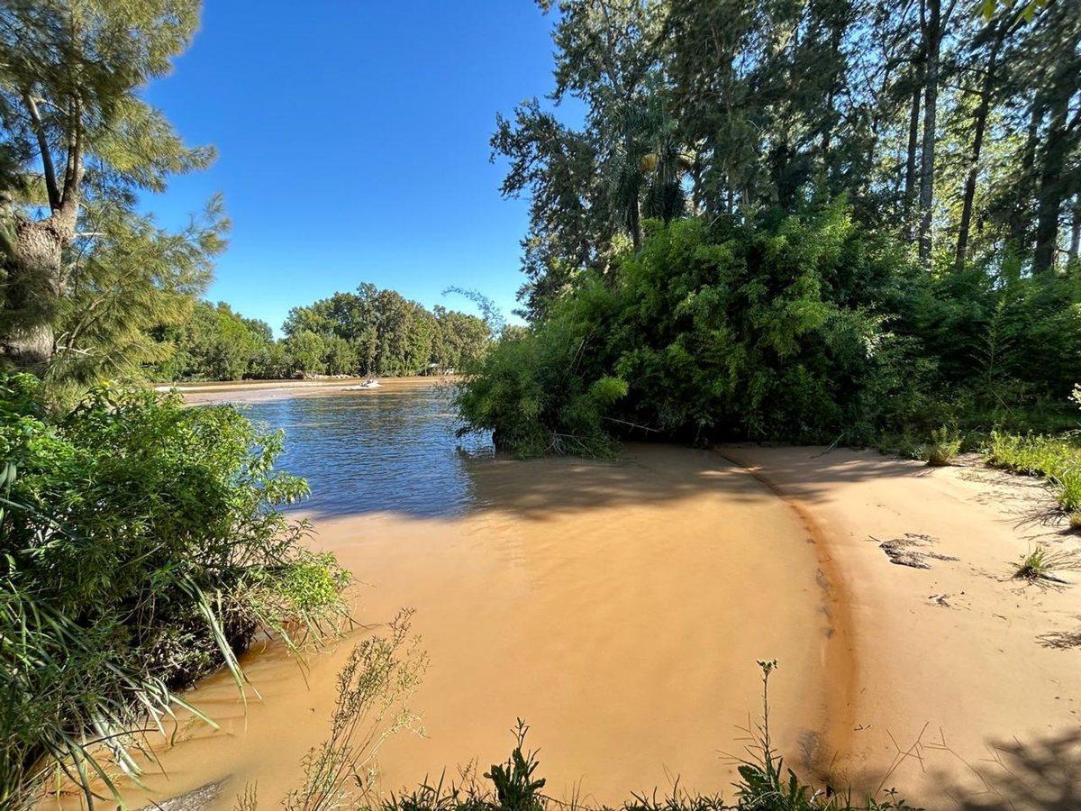 Foto de Venta Tigre- Lote Canal Arias-13 Hectáreas, imagen 2