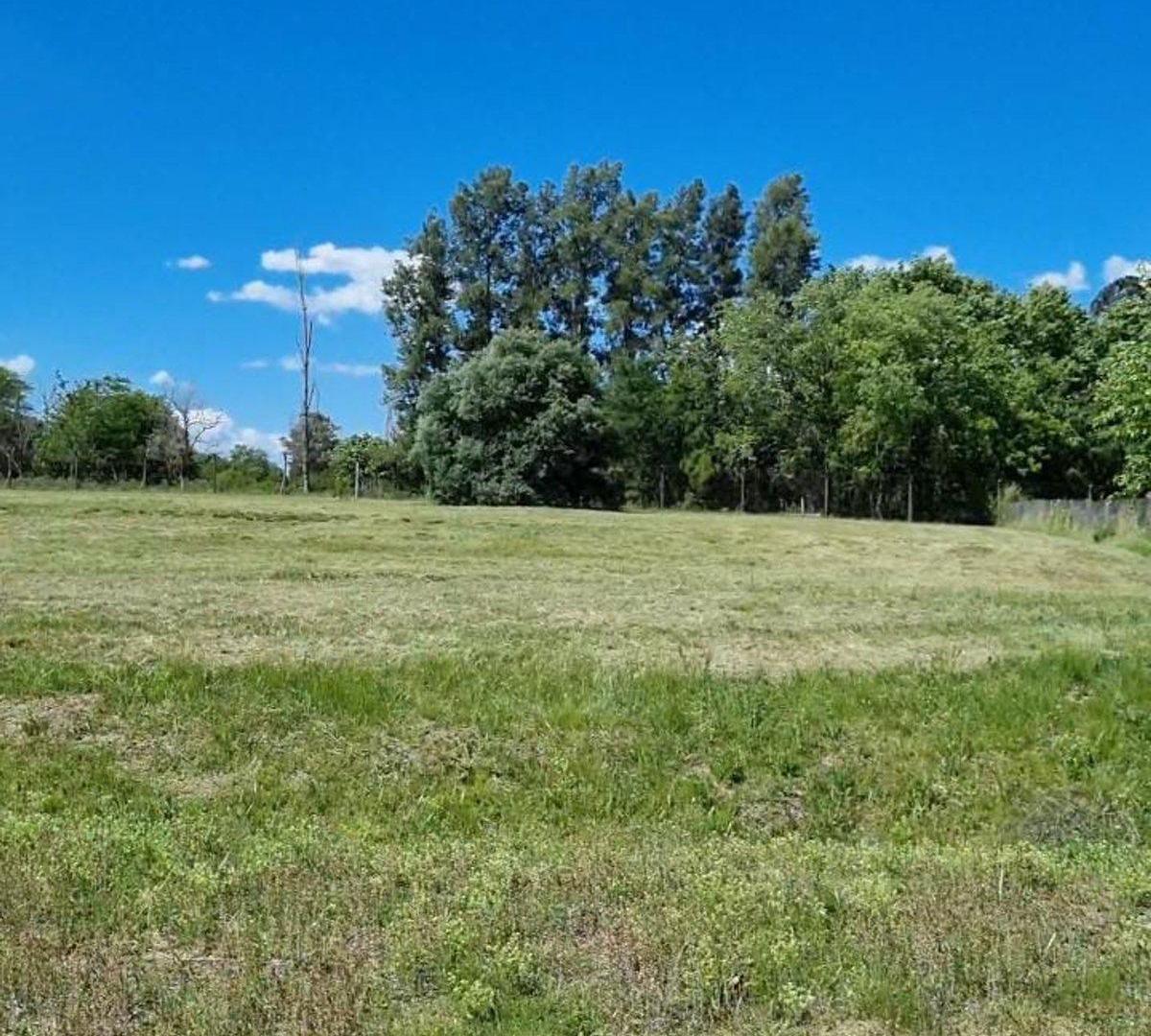 Foto de VENTA LOTE BARRIO LAS CALANDRIAS - CARDALES, imagen 1