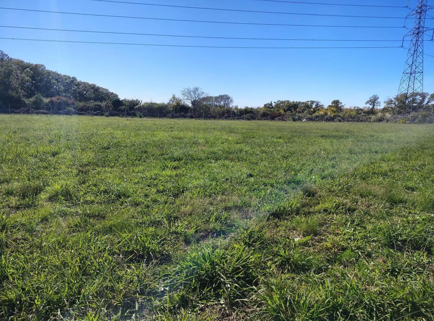 Terreno en General Rodriguez. Polo 24 - Parque Industrial 8