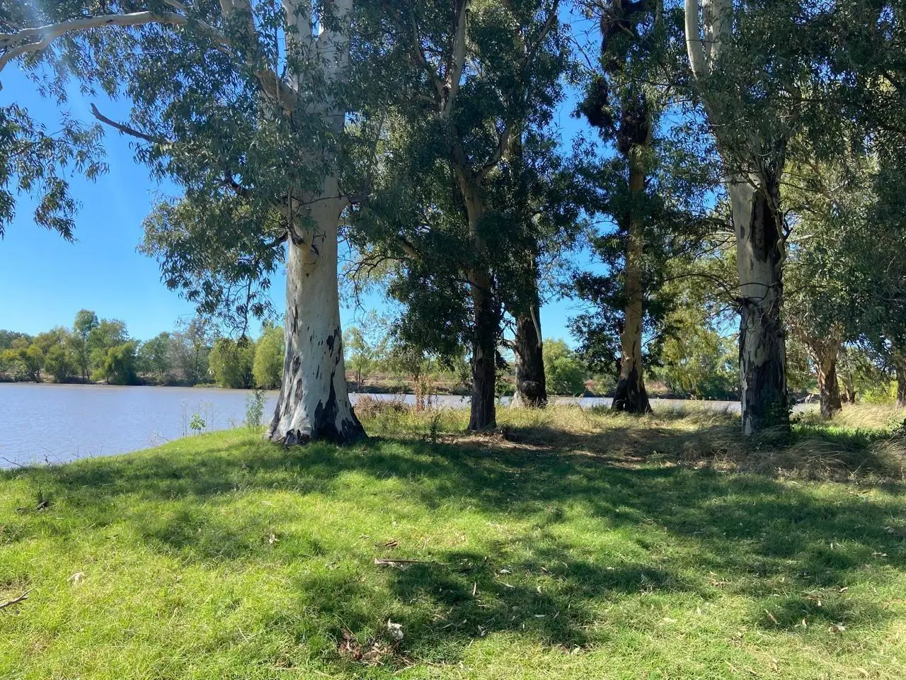 Venta lote en Lago de Manzanares 8