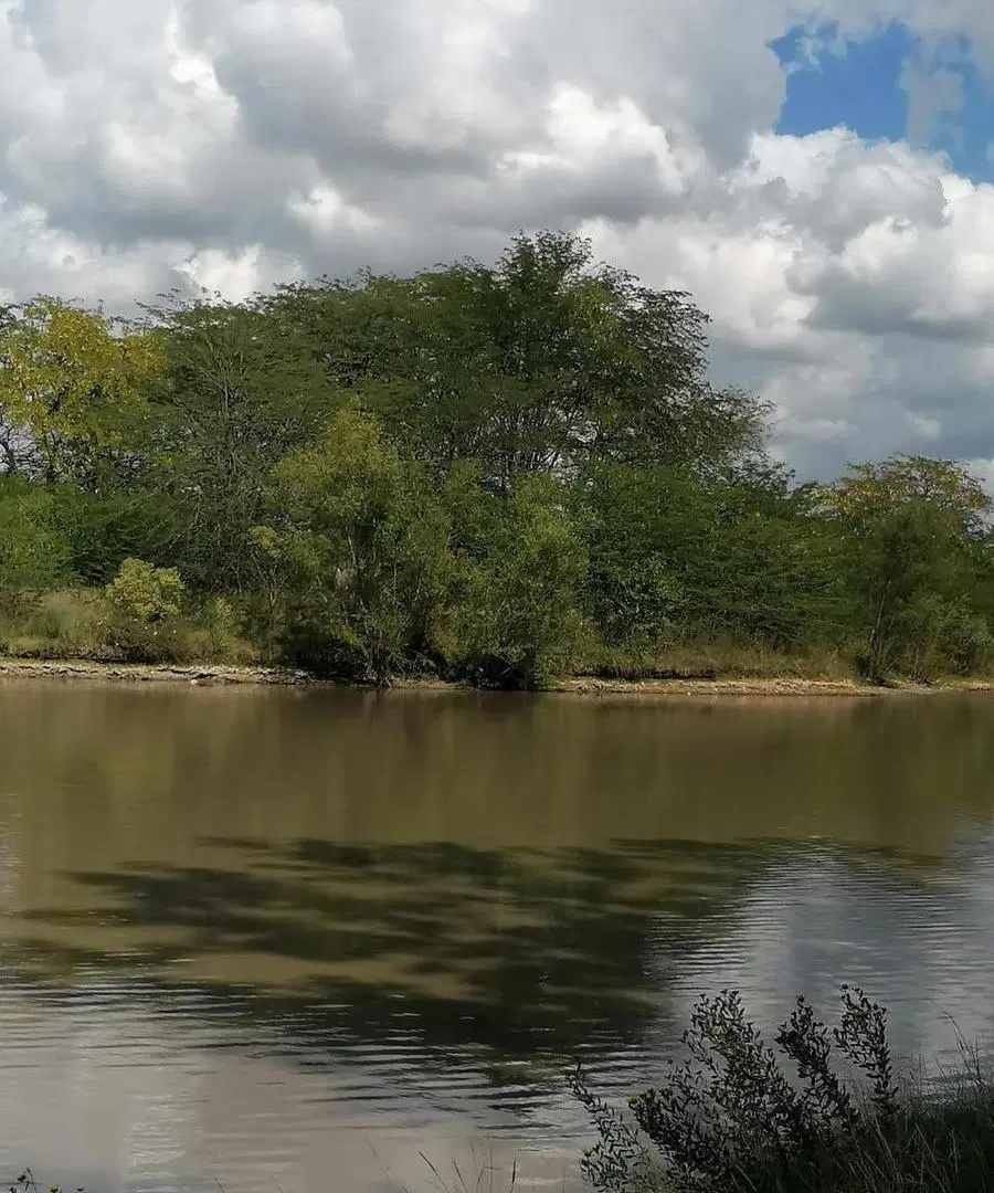 Venta lote en Lago de Manzanares 4