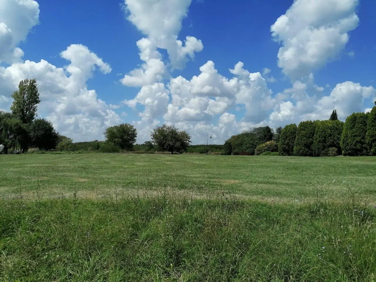 Venta Terreno Lago de Manzanares 4