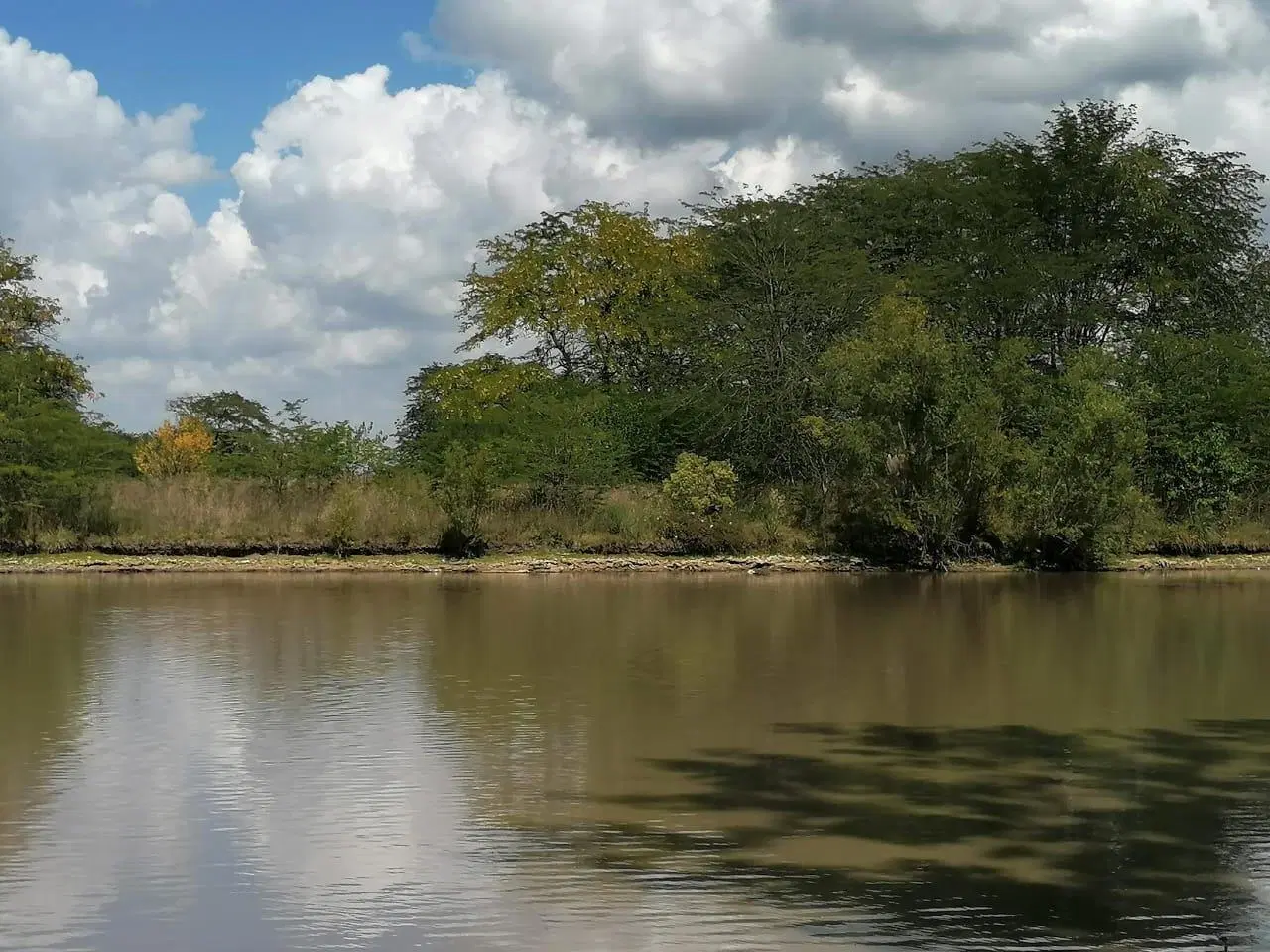 Venta Terreno Lago de Manzanares 2