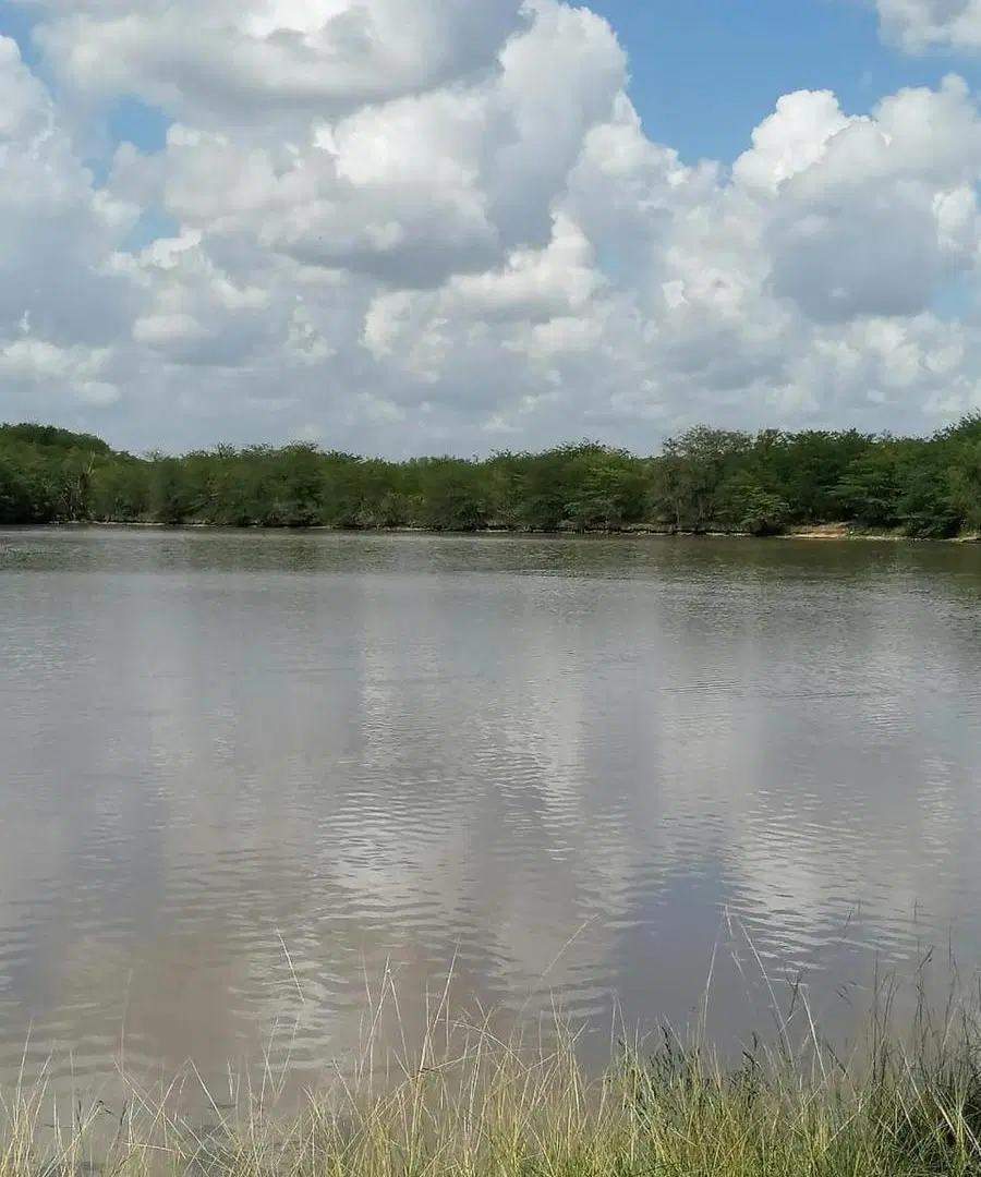 Venta Terreno Lago de Manzanares 5