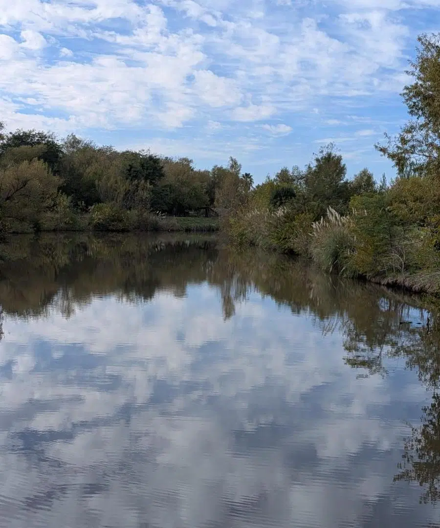 Venta Terreno Lago de Manzanares 3