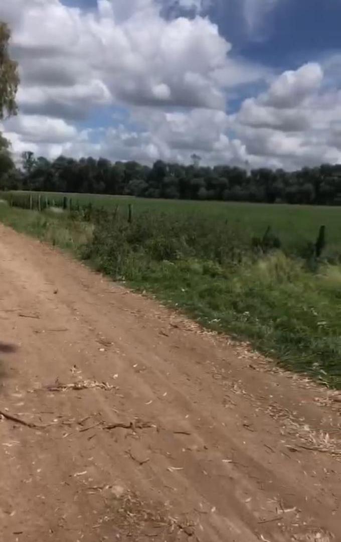 Foto de Venta 57,430 hectáreas - Gral Rodriguez - Ruta 28, imagen 1