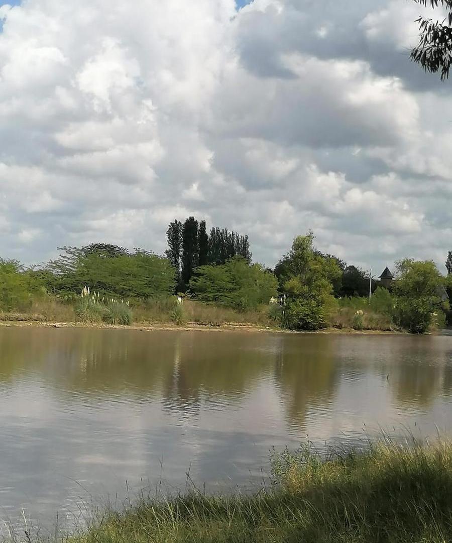 Foto de Terreno en Lago De Manzanares, imagen 5