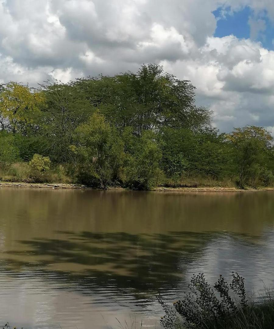Foto de Terreno en Lago De Manzanares, imagen 1