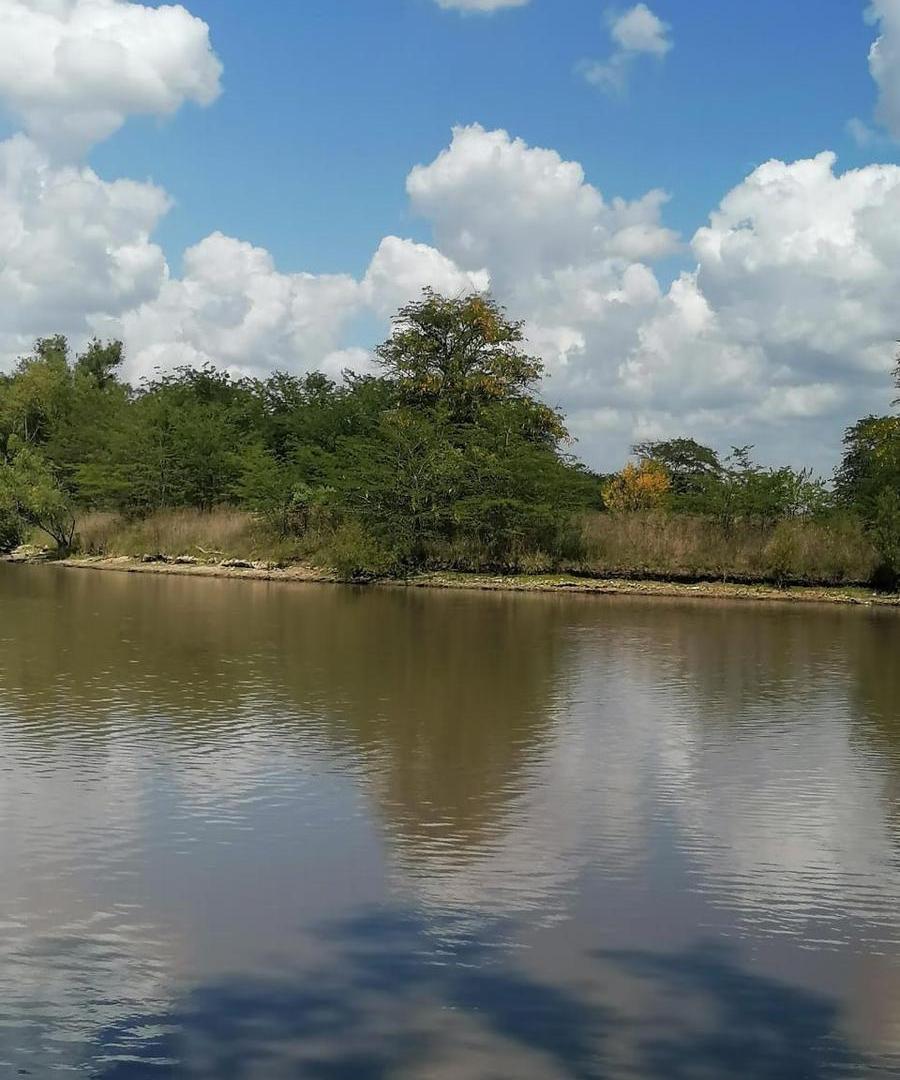 Foto de Terreno en Lago De Manzanares, imagen 3