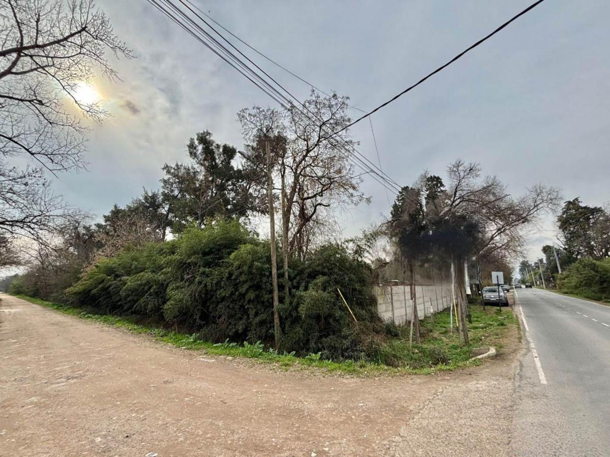 Foto de Terreno en venta, imagen 2