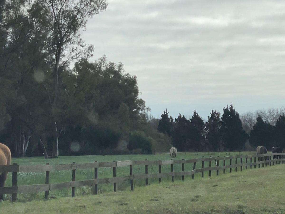 Foto de Lote Terreno Lima Zarate Club de Chacras de Parana, imagen 2