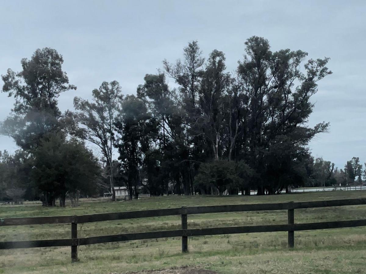 Foto de Lote Terreno Lima Zarate Club de Chacras de Parana, imagen 4