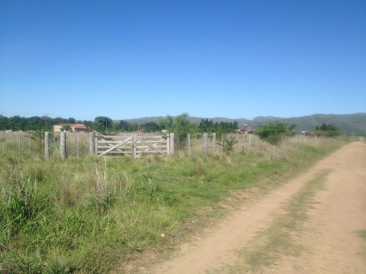 Foto de Terreno - Los Reartes, imagen 2