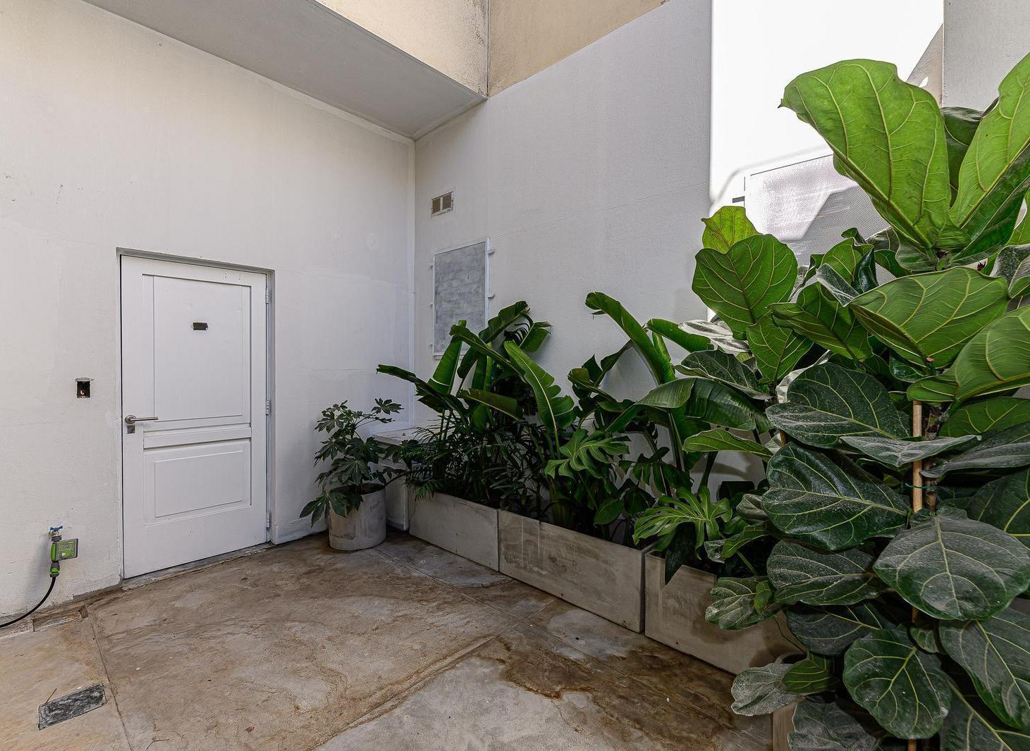 Foto de Venta amplio monoambiente 48 m2 Renovado. Planta baja con patio, imagen 5