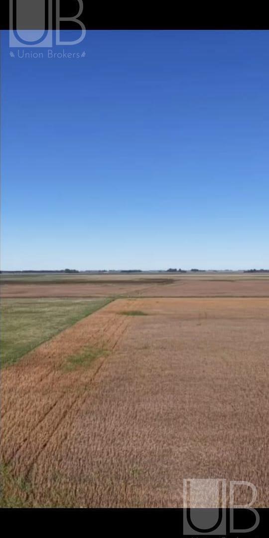 Foto de Terreno en Saladillo, imagen 4