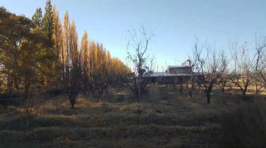 Campo en San Rafael 2