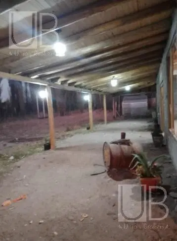 Campo en San Rafael 4