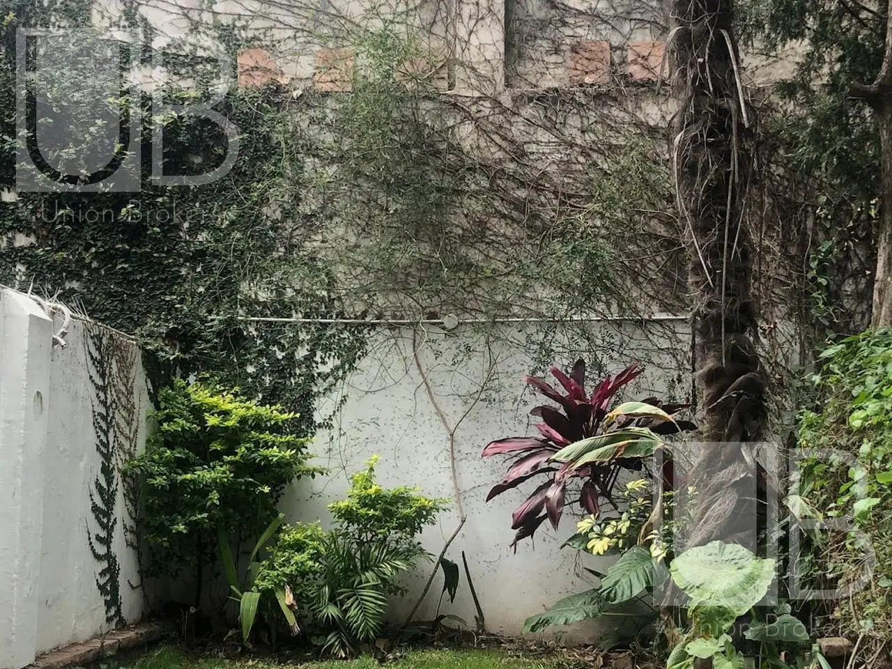Alquiler 2 ambientes con Jardin - Coghlan- 1