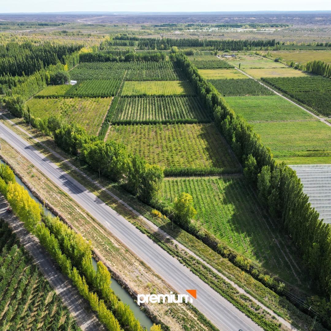 Venta 15has en Producción Sobre Ruta 7 - San Patricio del Ch 3