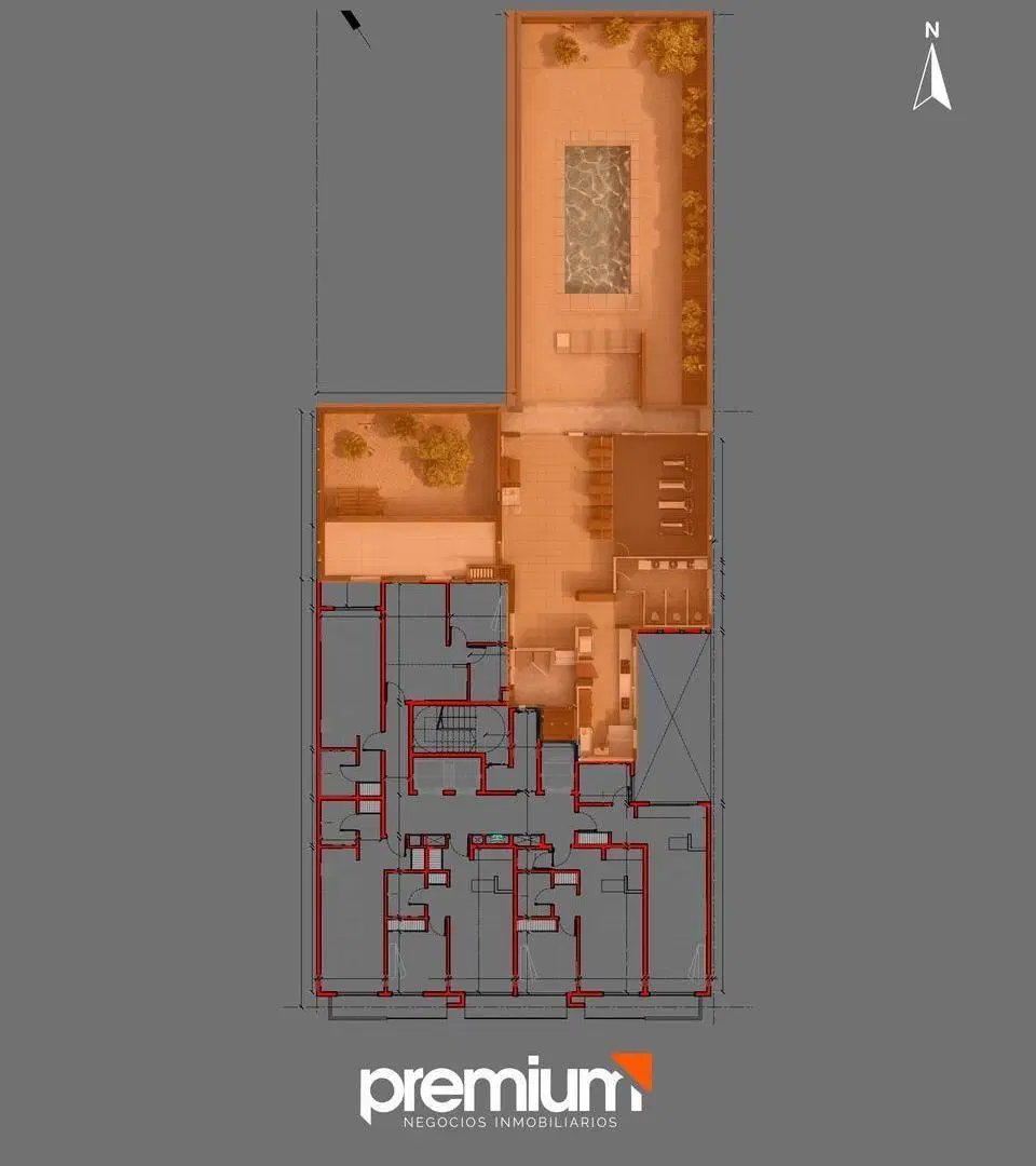Plano 6