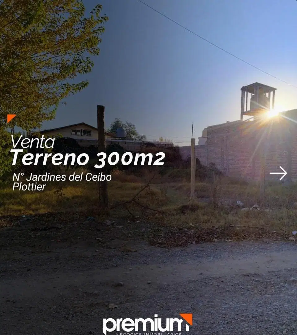 Terreno en Venta 300 m2- Los Radales 565 - Barrio Jardines del Ceibo - Plottier 1