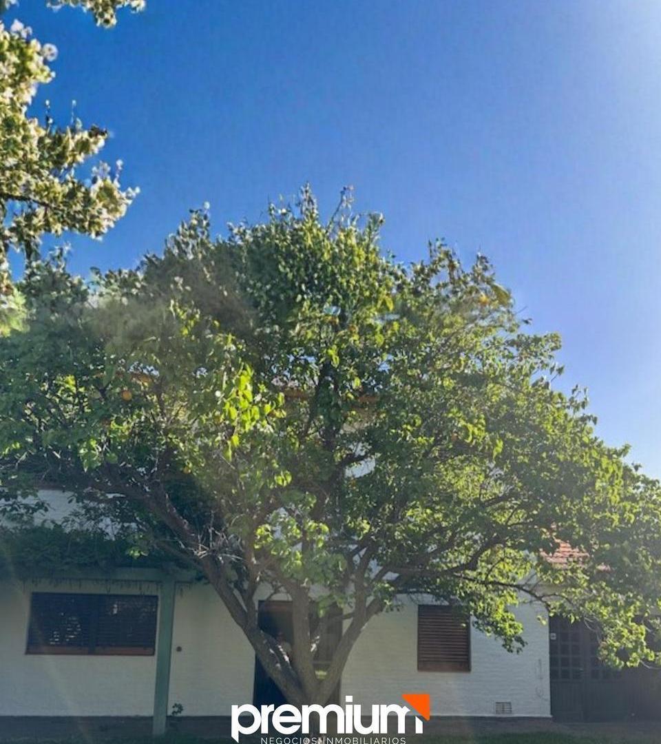 Foto de Venta- Casa 4 Dormitorios Con Quincho- Talero 886 - Neuquen Capital, imagen 4