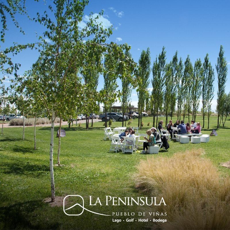 Foto de Venta Exclusivo lote en La Peninsula - Lago Marimenuco - Neuquén, imagen 4