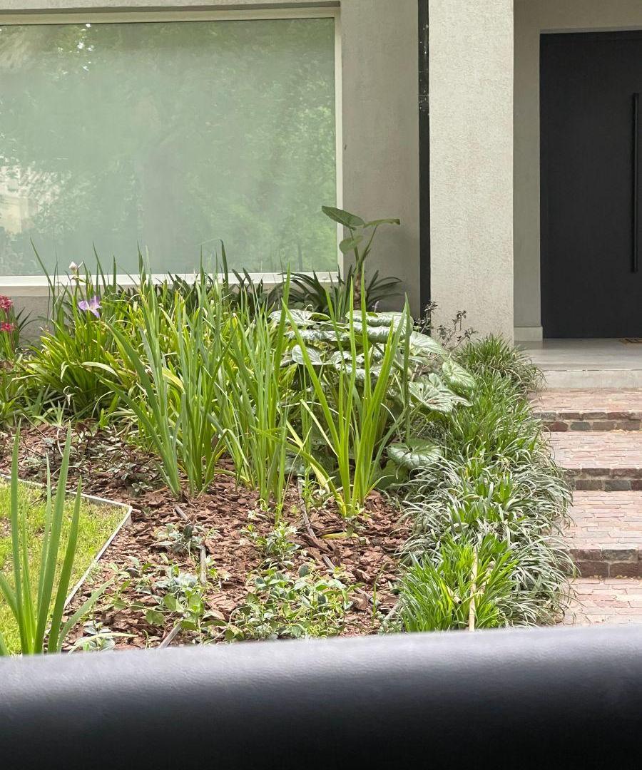 Foto de Monoambiente en Alquiler. Impecable! Terraza. Super luminoso!, imagen 5