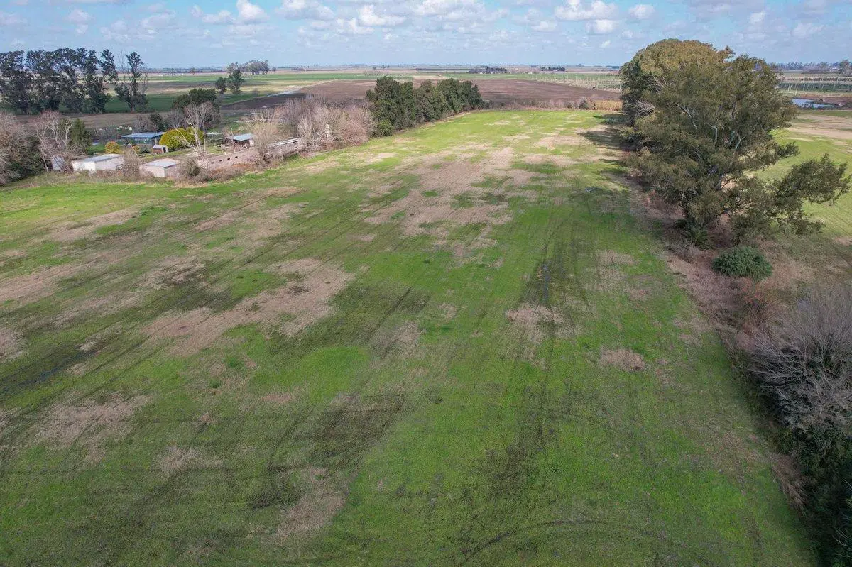 Venta campo 6 hectareas con chalet y buen acceso 3