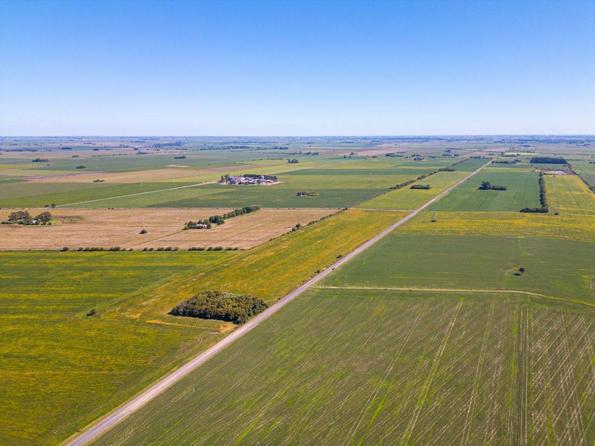 CAMPO EN VENTA 12.5 HA ZONA INDUSTRIAL