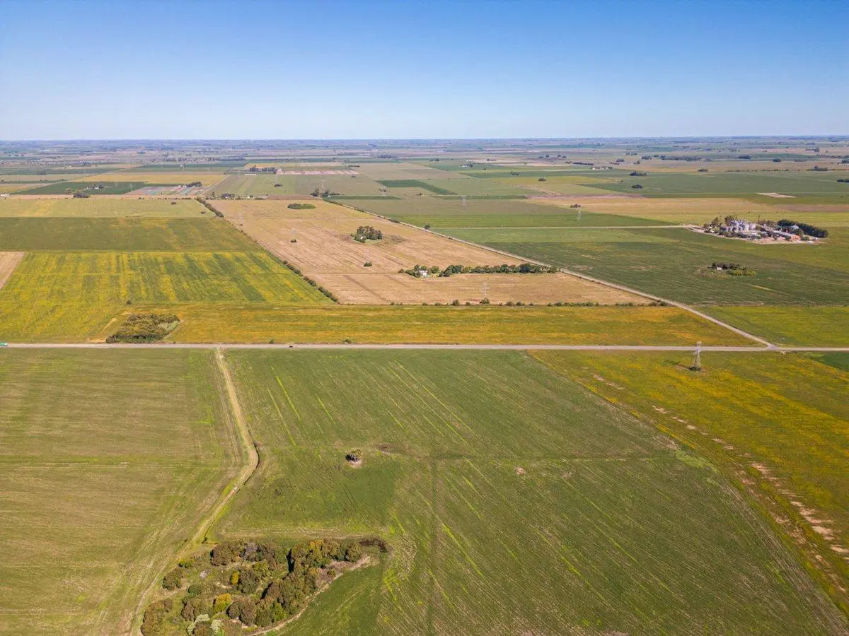 CAMPO EN VENTA 12.5 HA ZONA INDUSTRIAL 5