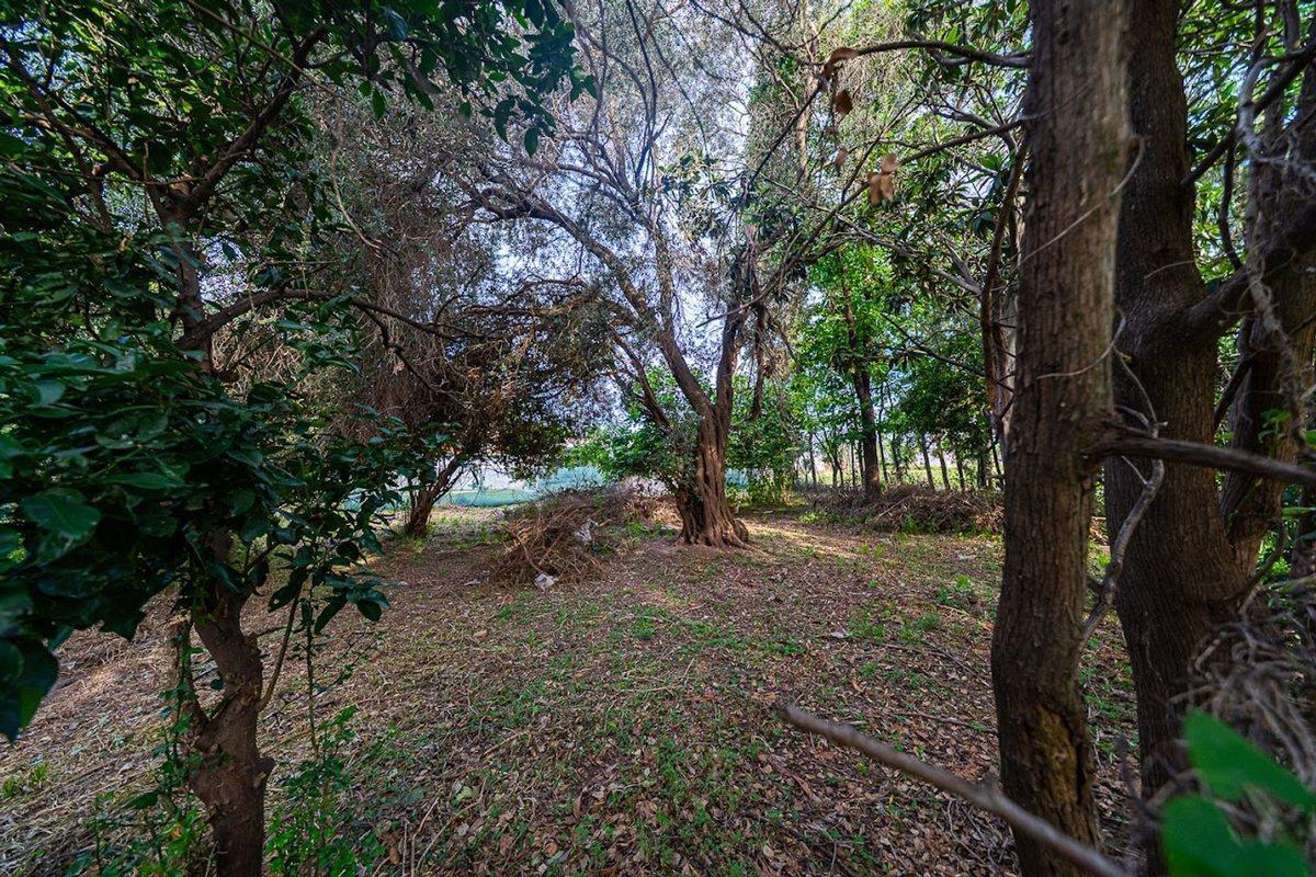 Foto de Lote en Venta en Altos de Mendoza Fisherton, imagen 5