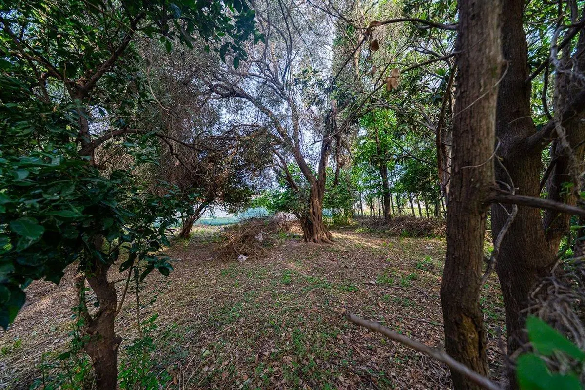 Lote en Venta en Altos de Mendoza Fisherton 5