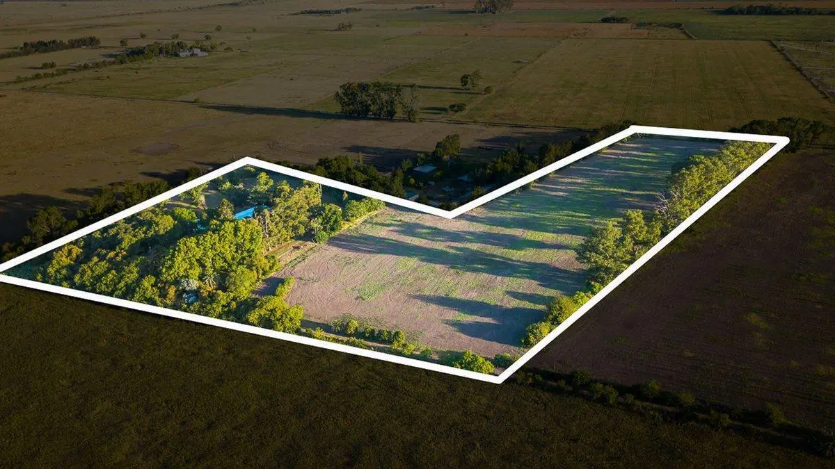 Venta campo 6 hectareas con chalet y buen acceso 3
