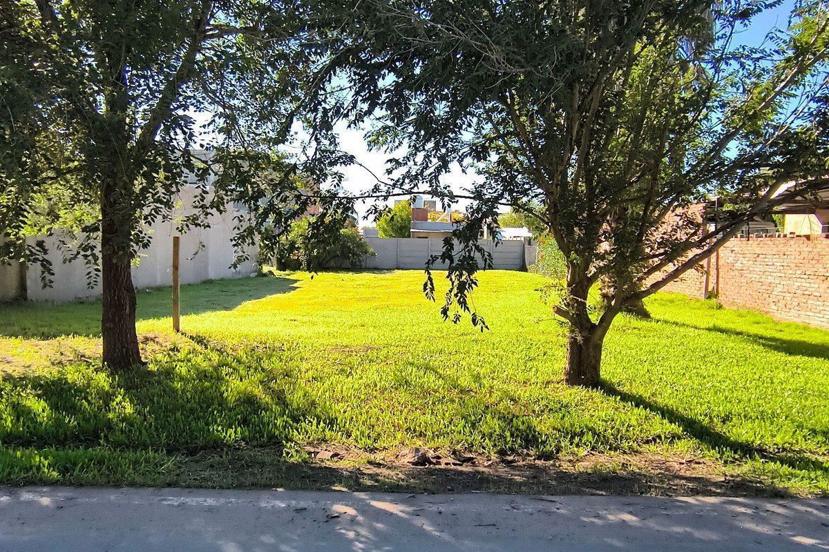 TERRENO EN VENTA SOBRE CALLE PAVIMENTADA