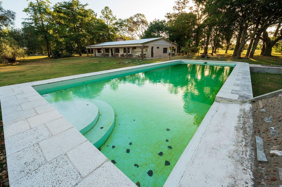 Foto de Venta campo 6 hectareas con chalet y buen acceso, imagen 5