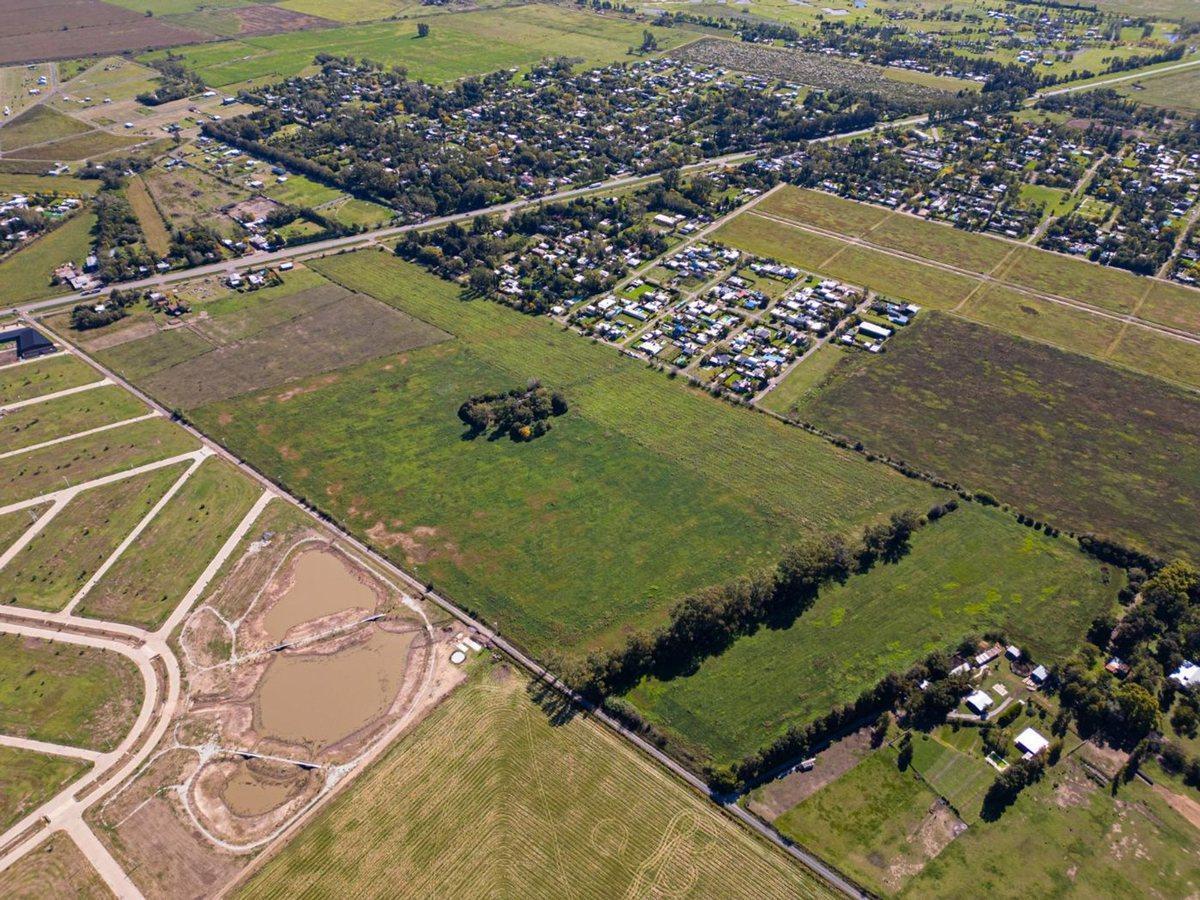 Foto de Venta 1 hectárea de campo en excelente ubicación, imagen 1