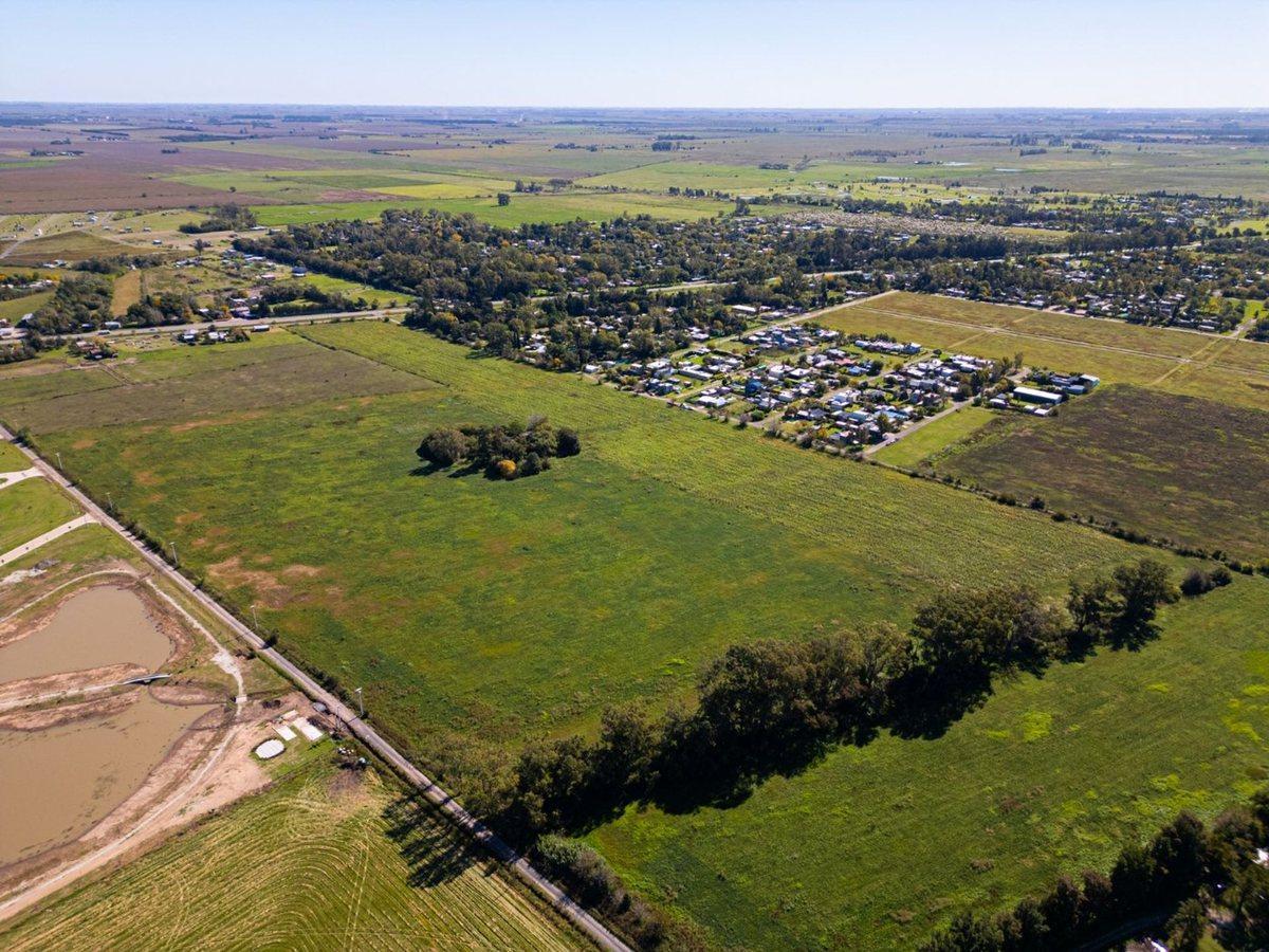 Foto de Venta 1 hectárea de campo en excelente ubicación, imagen 4