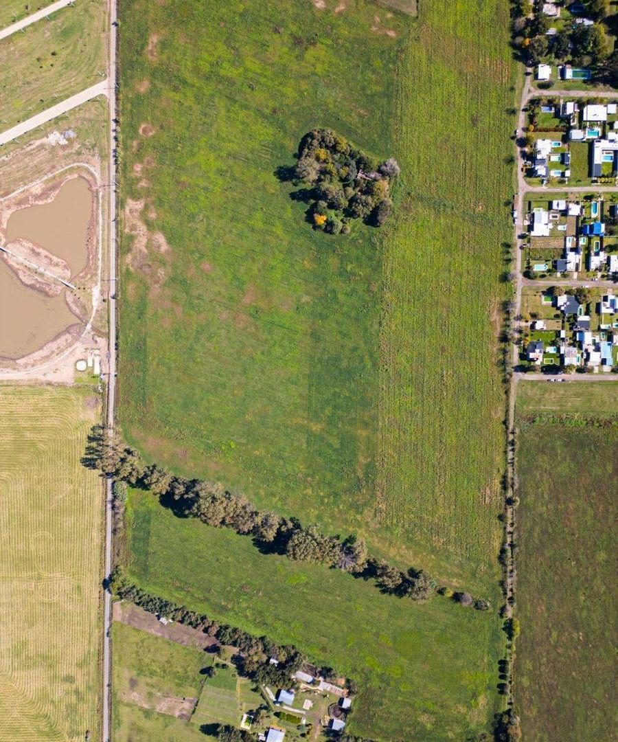 Foto de Venta 1 hectárea de campo en excelente ubicación, imagen 2