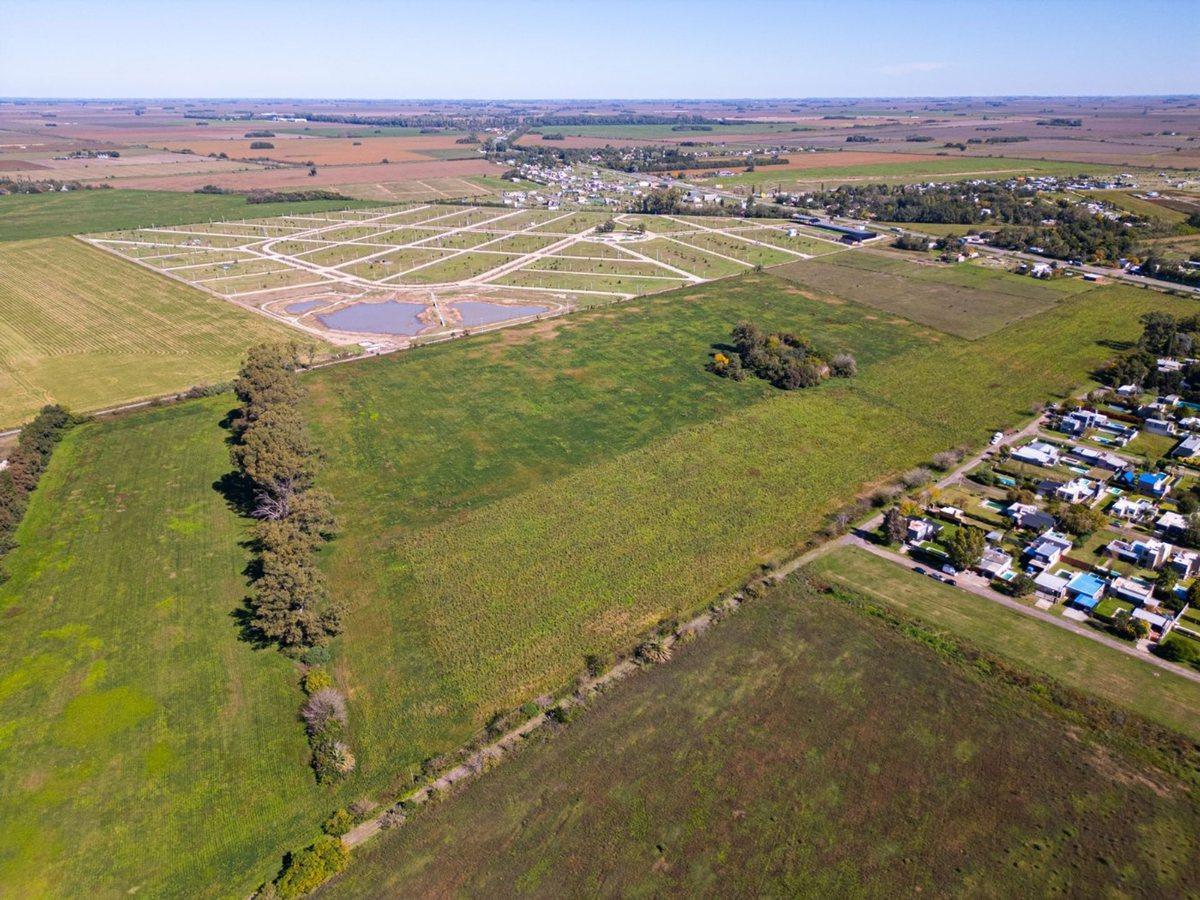 Foto de Venta 1 hectárea de campo en excelente ubicación, imagen 5