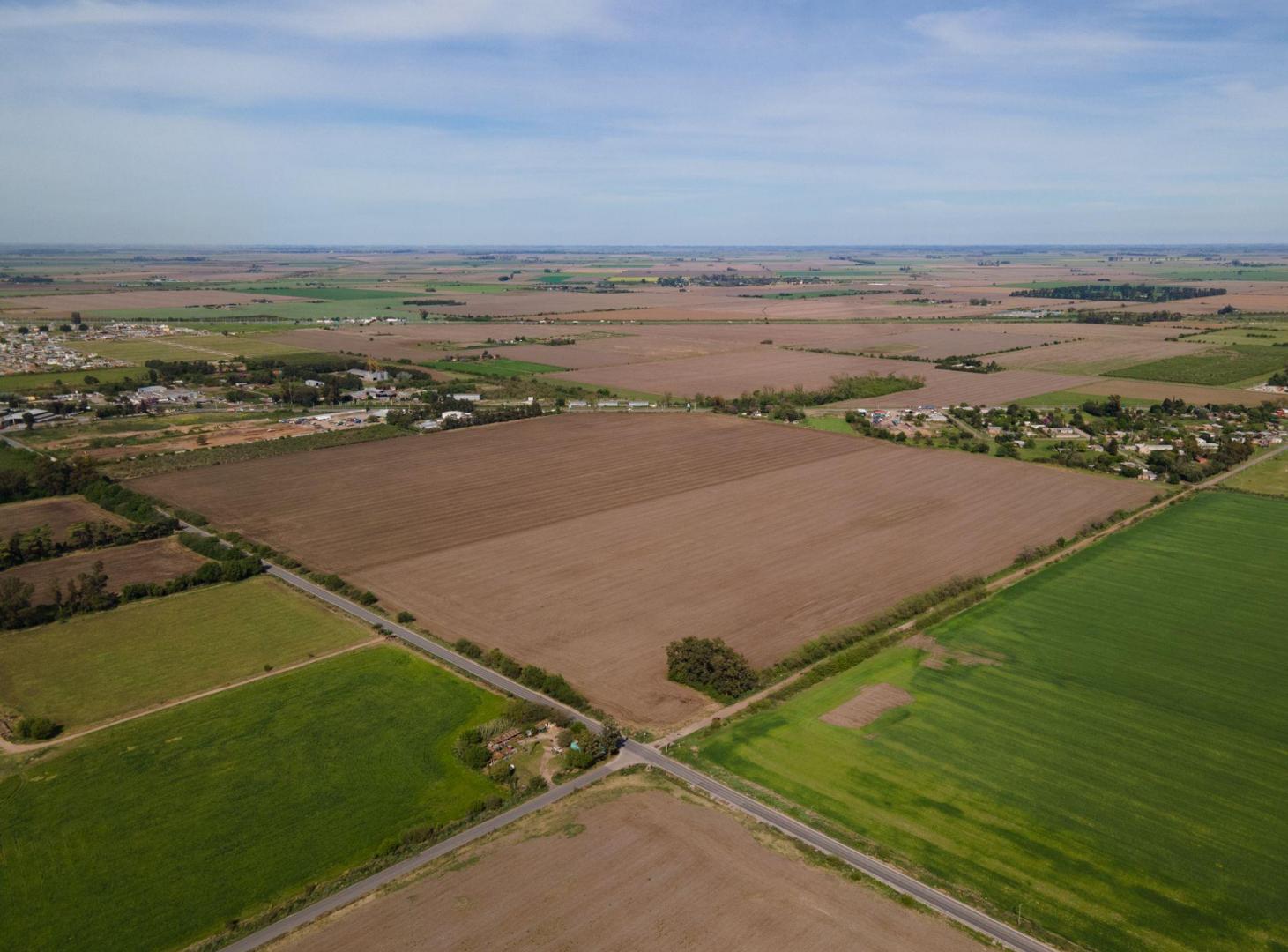 Foto de VENTA CAMPO 19,3 HA EN PTO GRAL SAN MARTIN, imagen 3