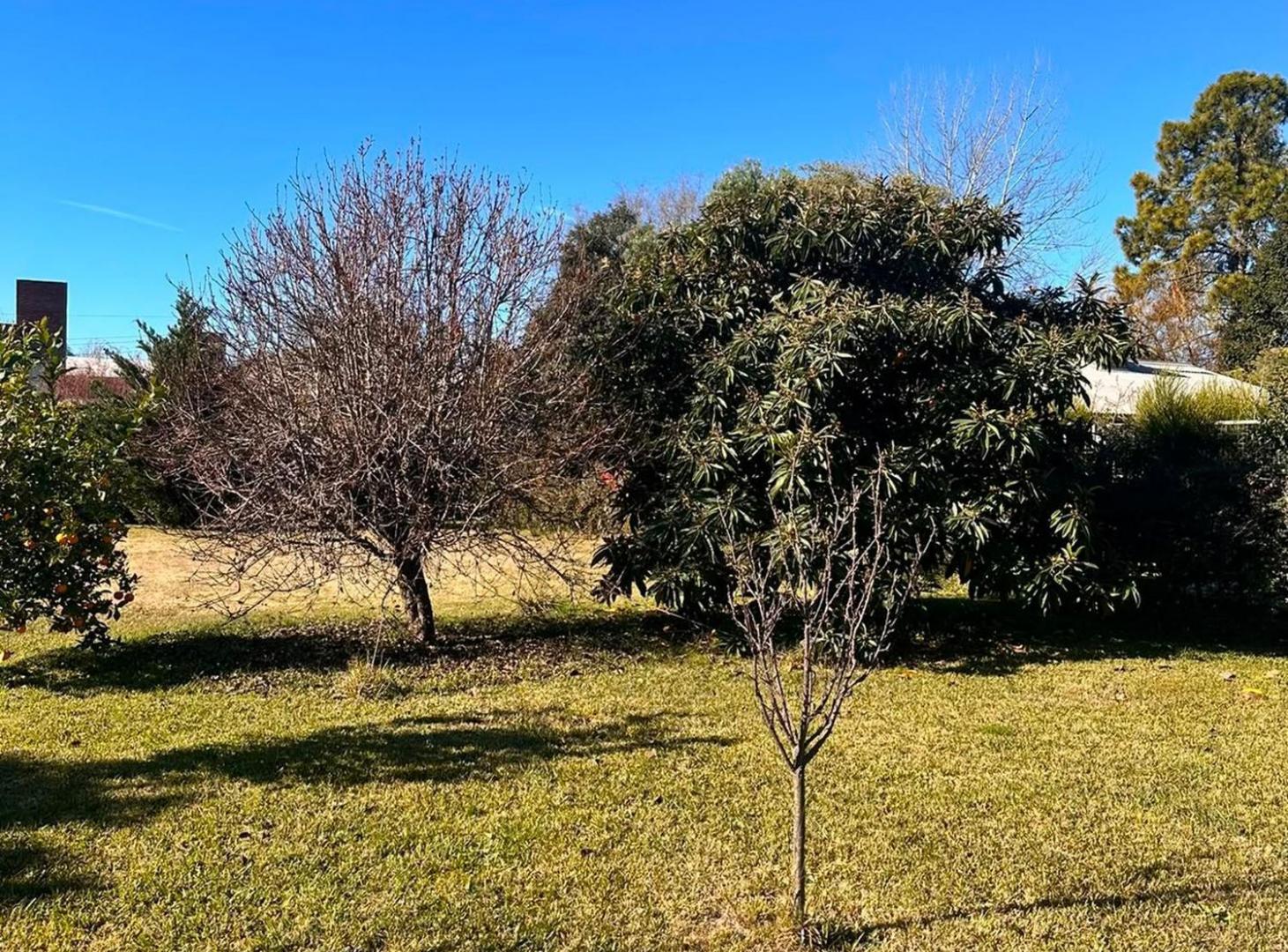 Foto de Venta lote 350m2 con excelente ubicación en Roldan, imagen 4
