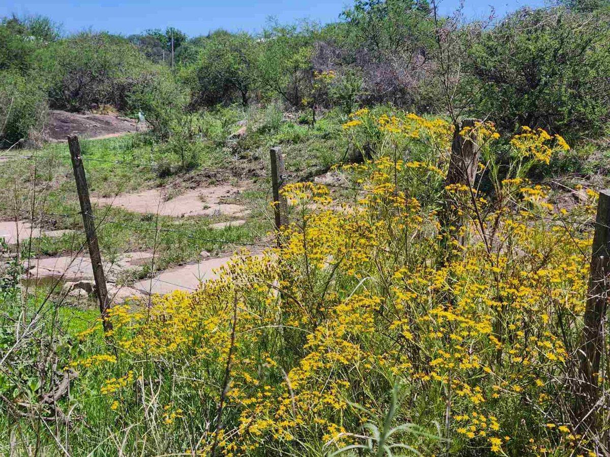 Lote 936 m en Parque Siquiman, Punilla Cordoba. 1