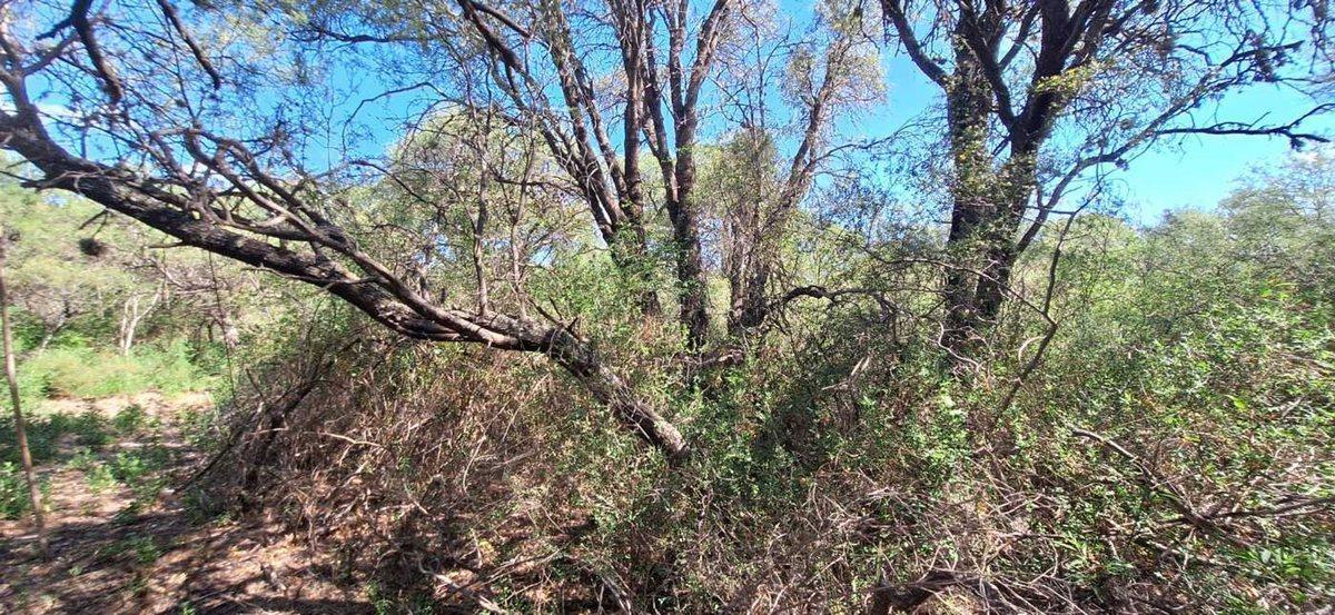 Se Vende Lote 2500 m² B° Santa Isabel Charbonier 3