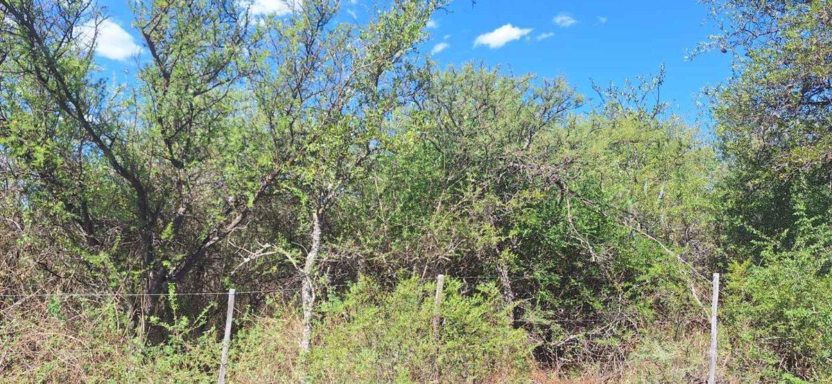 Se Vende Lote 2500 m² B° Santa Isabel Charbonier 2